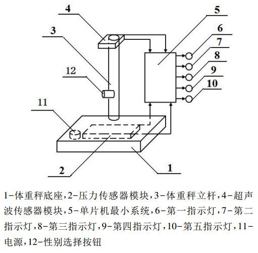 趣味體重秤結(jié)構(gòu)圖