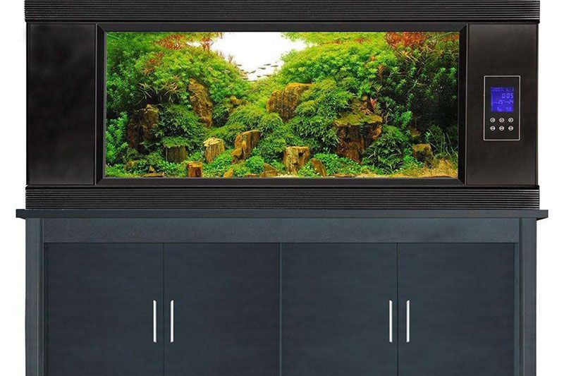 深圳智能魚缸方案 深圳智能魚缸方案